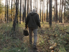Niecodzienne spotkanie w lesie. To jedyny jadowity gatunek w Polsce