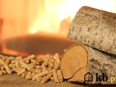 Ten proceder winduje ceny pelletu na nowe szczyty. Dane są szokujące