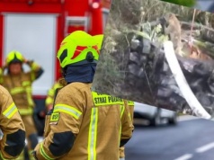 Pies i lis w pięciometrowej studni. "Przytulone, jakby się wspierały"