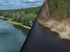 Cud natury koło Poznania. Jezioro zmienia kolory, drzewa wiszą w powietrzu