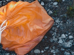 Widzisz go przy śmietniku? Pomarańczowy worek nie jest dla każdego