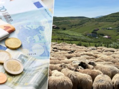 Rząd blokuje wypłatę dopłat dla 25 tys. rolników. „Działamy dla dobra rolnictwa”