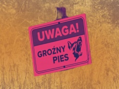 To tu psy rzuciły się na 46-letniego Marcina. Mieszkańcy opowiadają wstrząsające historie