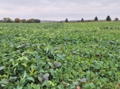 Wystartowały nowe nabory wniosków dla rolników — kto skorzysta?