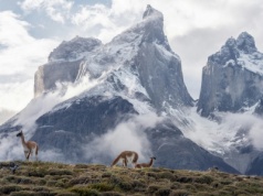 Tajemnicze kamienne mury w Andach. Archeolodzy rozwiązali ich zagadkę