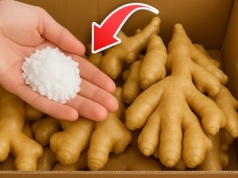 Nie pozwól, by imbir się zepsuł. Przechowuj go 1 rok w ten sposób