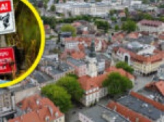 Psy zagryzły mężczyznę w Zielonej Górze. Ratusz reaguje po tragedii w Raculi