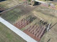 Tak powiększa się Park Szczytnicki. Mamy zdjęcia z lotu ptaka