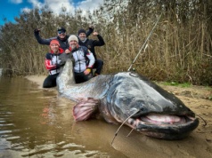 Wędkarze z Lublina ustanowili historyczny rekord. Tak wielkiego suma nie złowił jeszcze nikt na świecie (foto)
