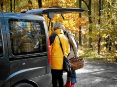 Autem po grzyby? Myślą, że zaparkują "tylko na chwilę", a wracają z mandatem