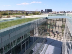 Cogiteon ma nowego dyrektora