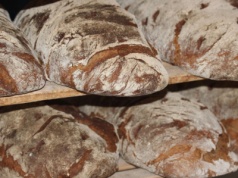 Koniec rodzinnej piekarni po 40 latach. To jedno z najbardziej znanych miejsc w tym mieście