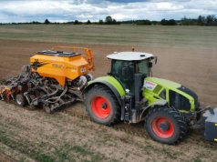 Do kiedy można siać zboża ozime?