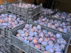 Kolejna „owocowa” afera wychodzi na światło dzienne