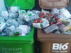 Koniec z brązowymi workami. Od 2026 r. odpady tylko w pojemnikach