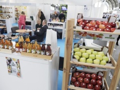 Kulinarne hity na Targach Marek Własnych w Kielcach