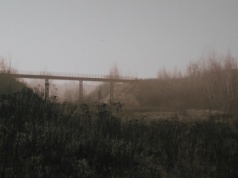 Nie będzie pól golfowych! Teren Białych Mórz w Krakowie pozostanie w ponad 80 proc. zielony