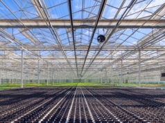 SVI o roli branży hydroponicznej w bezpieczeństwie żywnościowym kraju