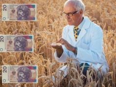 Skupy zaniżają ceny zbóż? Rolnicy mają pomysł, jak z tym skończyć