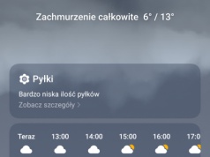 I ” po ptokach”