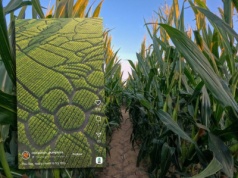 To nie jest atrakcja dla każdego. Turyści gubią się w olbrzymim labiryncie i wzywają pomoc