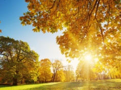 Do Polski nadchodzi późne babie lato. Temperatura sięgnie 22 st. Celsjusza