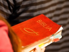 To nie było jabłko. Naukowcy ujawnili, jaki owoc naprawdę Ewa podała Adamowi