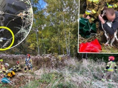 Biegał po łące, aż nagle zniknął.  10 m grozy na Śląsku