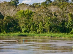 Ochrona przyrody jest dla słabych. Brazylia woli szukać ropy w Amazonii