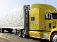 Służby zatrzymały aż 12 ton ryb. Wiadomo, co kryło się w transporcie do Polski