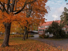 Smog, hałas i duszne sale. Fatalne warunki polskich uczniów