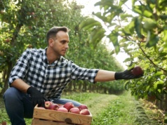 Bruksela chce odmłodzić branżę rolniczą. Na czym polega unijny plan?
