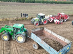 Nawet 100 ton z hektara, czyli maszynowy zbiór kamienia