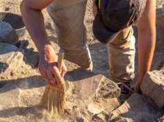 Znaleźli "gumę" do żucia sprzed 6 tys. lat. To skarbnica DNA