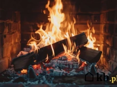 Drewno, które pali się jak grab, ale kosztuje o wiele mniej. Zainteresowanie nim gwałtownie rośnie