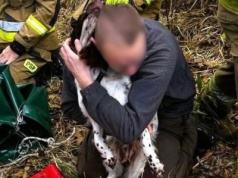 Pies wpadł do głębokiego szybu. Strażacy z Łazisk uratowali go w niezwykłej akcji