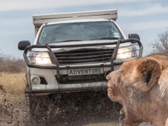 Wiza do Botswany – wszystko, co musicie wiedzieć przed wyjazdem z Planet Escape