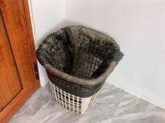 Dokładnie tyle sody oczyszczonej wsyp na dno śmietnika, przestanie cuchnąć