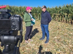 Webinarium: razem podsumujmy sezon kukurydziany