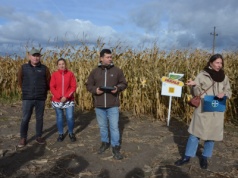 Nowy sezon, nowe możliwości – nowe herbicydy i odmiany kukurydzy DEKALB od Bayera. Co je wyróżnia?