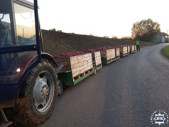 „Rolniczy pociąg” zatrzymany pod Sandomierzem! 32-latka ciągnęła cztery wózki sadownicze!