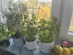 Antyprogram życiowy, osoby urodzonej przed rokiem 1949