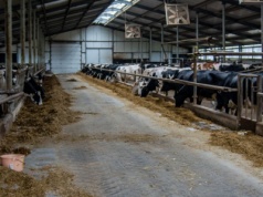 Więcej czasu na dostosowanie miejsc na nawozy