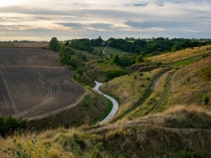Rolnik na Mazurach odkrył skarb. "Mąż odnawiał łąkę. Chciał pozbierać wyorane kamienie"