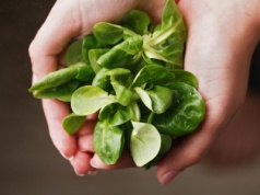 To idealny moment na wysiew tej rośliny. Świetnie wpływa na serce i wzrok