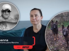 "Macie krew na rękach". Przejmująca rozmowa z partnerką pana Marcina, którego zagryzły psy