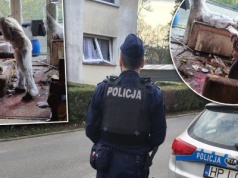 Potężna eksplozja w mieszkaniu w Głubczycach. Po latach wybuchła "pamiątka" z lasu