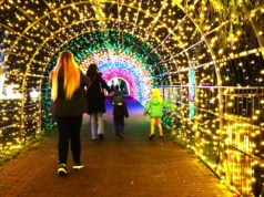 Ogród Świateł w Krakowie. To miejsce robi wrażenie