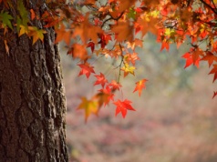 Pogoda na czwartek | Dalej ciepło, ale idzie zmiana pogody