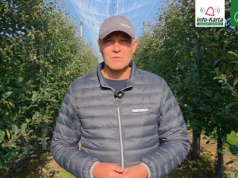 Komunikat sadowniczy – Robert Binkiewicz, Agrosimex, 22.10.2025